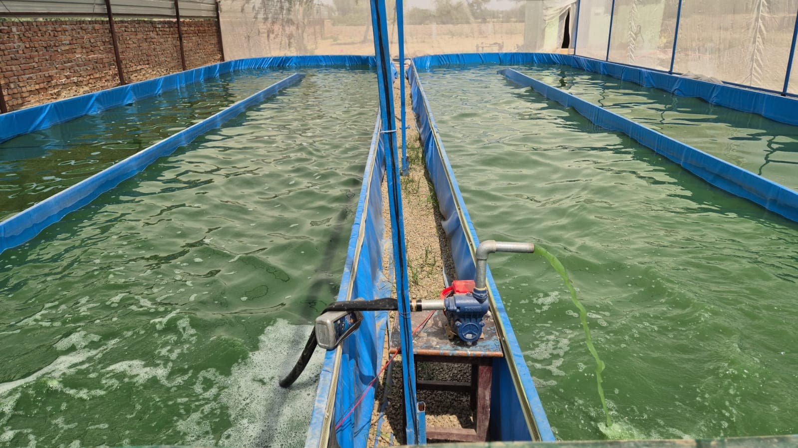Aarogya Farm Cultivation Ponds